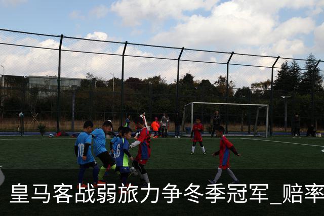 皇马客战弱旅力争冬季冠军 赔率:上半场就领先